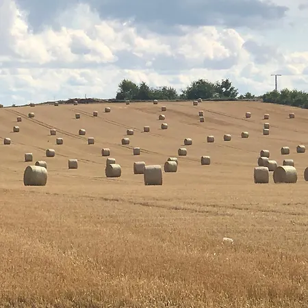 Appartement Constanze Muecheln Am Geiseltalsee Maisonette Fuer 2 Personen, Freisitz, Garage Stobnitz